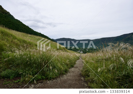 Sengokuhara Susuki Grass Field (Cloudy) 133839314