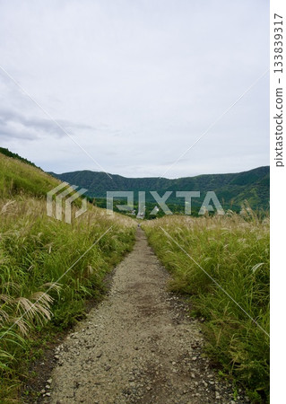 仙石原鈴木草地(陰天) 仙石原鈴木草地(陰天) 133839317