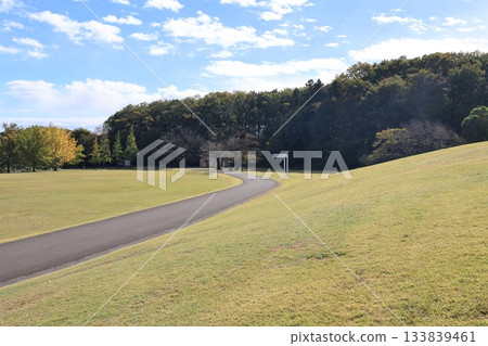 Scenery of Musashi Hill Forest Park 133839461