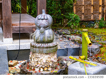 Shishigatani pumpkin at Anrakuji Temple in Kyoto 133839599