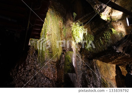 兵庫縣生野銀山金中隧道 133839792