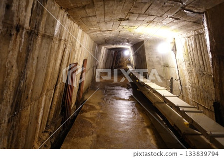 兵庫縣生野銀山金中隧道 133839794