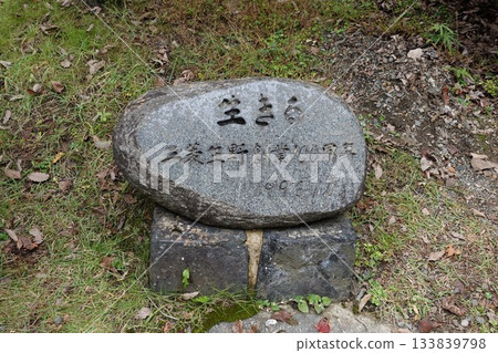 Hyogo Prefecture, Ikuno Silver Mine, Kanekaseyama 133839798