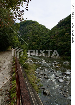沿著廢棄的福知山線漫步(2025年11月) 沿著廢棄的福知山線漫步(2025年11月) 133839823