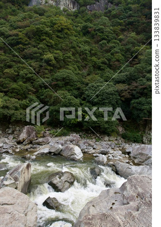 沿著廢棄的福知山線漫步(2025年11月) 沿著廢棄的福知山線漫步(2025年11月) 133839831