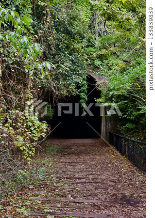 Walk along the abandoned Fukuchiyama Line (November 2025) Walk along the abandoned Fukuchiyama Line (November 2025) 133839839