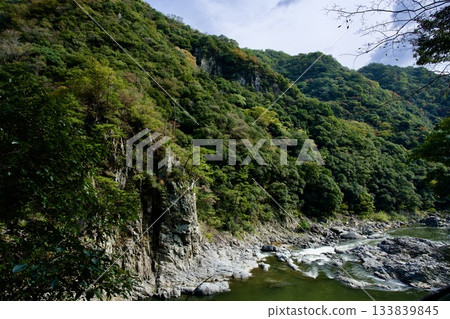 沿著廢棄的福知山線漫步（2025年11月） 133839845