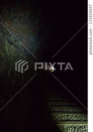 Walk along the abandoned Fukuchiyama Line (November 2025) 133839847