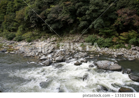 Walk along the abandoned Fukuchiyama Line (November 2025) Walk along the abandoned Fukuchiyama Line (November 2025) 133839851