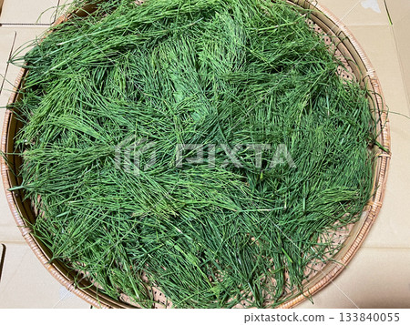Horsetail is a nutritious medicinal herb that is rich in minerals Horsetail is a nutritious medicinal herb that is rich in minerals 133840055