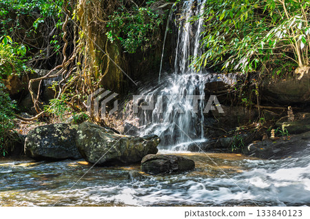 Close up view of fresh waterfall stream splashing on rocks in green tropical rainforest of angkor park 133840123