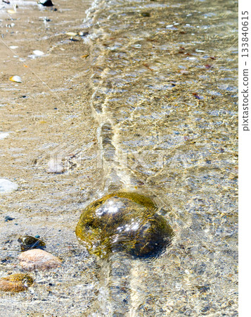 Background material: Sparkling ocean shore Background material: Sparkling ocean shore 133840615