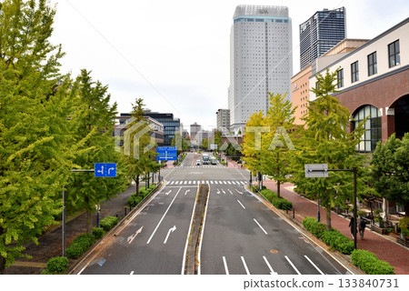 從環形人行橋上看到的萬國橋沿線秋葉美景 133840731