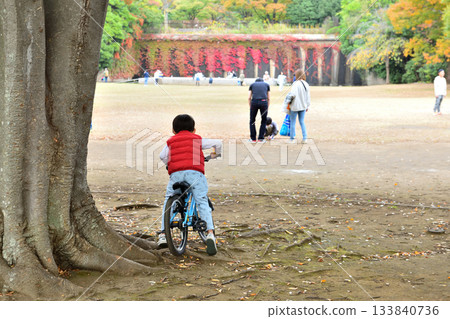 A child in a red vest playing in a park with autumn leaves 133840736