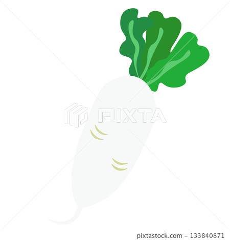 Illustration of a simple radish 133840871