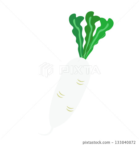 Simple long radish illustration 133840872
