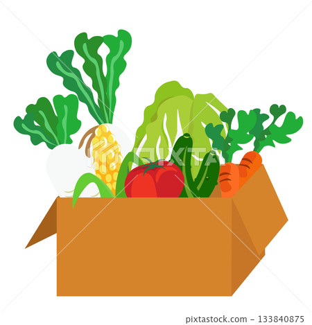 裝在紙箱裡的蔬菜示意圖 133840875