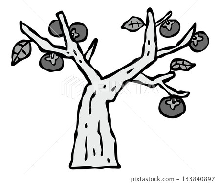 Persimmon tree in a private home Fruit tree 133840897