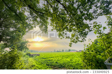 Gentle sunrise illuminating expansive rural countryside view today Gentle sunrise illuminating expansive rural countryside view today 133840925
