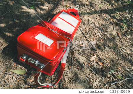 school bag  133840969