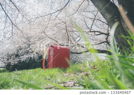 Red school bag 133840987