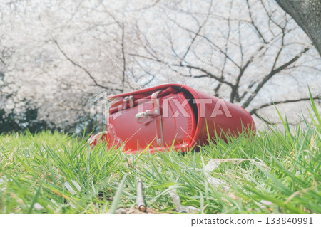 櫻花和紅色書包 櫻花和紅色書包 133840991