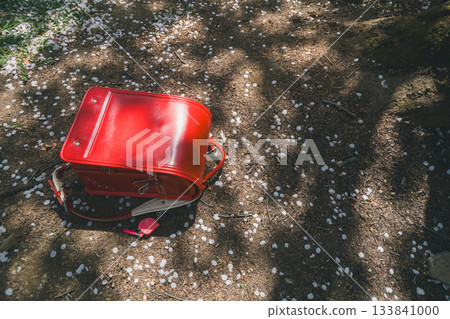 school bag  133841000