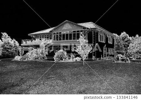 Flat design showing two-story house with gabled roof, lawn, shrubs, garden edging, utility vehicle 133841146