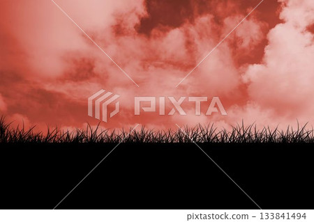 Digitally generated Red sky over grass Digitally generated Red sky over grass 133841494