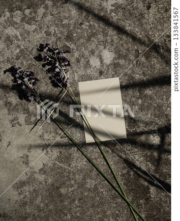 Organic real photograph light shadows brown blank card mock up flat lay rustic concrete background Organic real photograph light shadows brown blank card mock up flat lay rustic concrete background 133841567