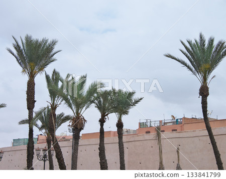 Morocco, Marrakech, old town seen from the new town, alley, May 133841799