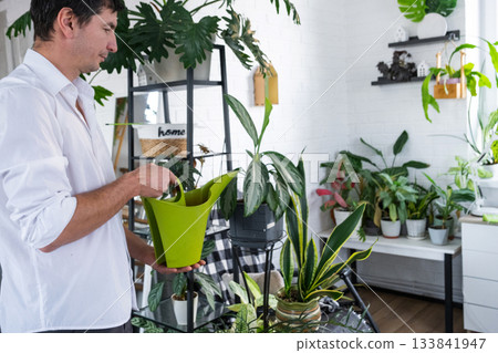 A man takes care of home potted plants on the shelves, watering from a watering can, homeplants care service 133841947