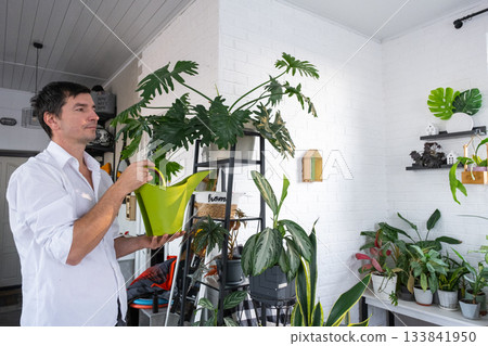 A man takes care of home potted plants on the shelves, watering from a watering can, homeplants care service A man takes care of home potted plants on the shelves, watering from a watering can, homeplants care service 133841950