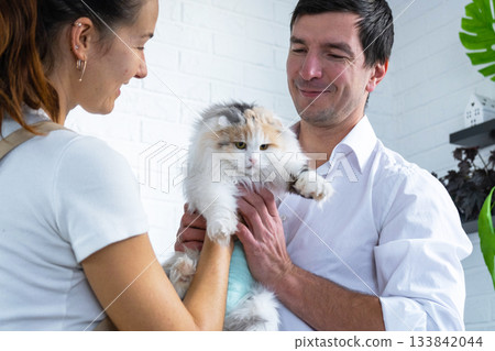 A veterinarian at home checks the health of a bandaged cat in a blanket after a sterilization operation, together with a female assistant 133842044