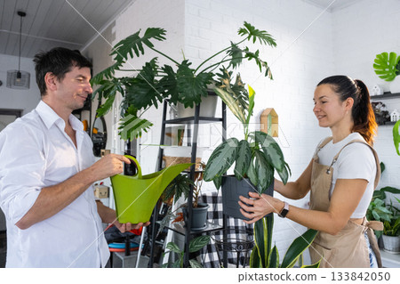 A man and a woman take care of home potted plants on the shelves, watering from a watering can, homeplants care service A man and a woman take care of home potted plants on the shelves, watering from a watering can, homeplants care service 133842050
