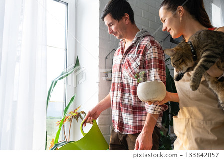 A man with a woman and a cat takes care of homemade potted plants on the windowsill, watering from a watering can A man with a woman and a cat takes care of homemade potted plants on the windowsill, watering from a watering can 133842057