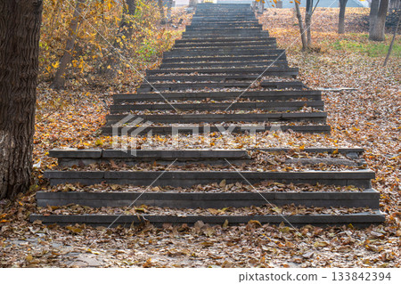 A staircase with leaves on it 133842394