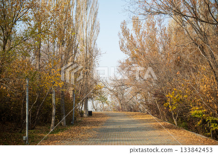 Yerevan Armenia 10.25.2025. A path through a forest with trees that are shedding their leaves 133842453