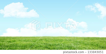 Scenic view of grassy field against sky Scenic view of grassy field against sky 133843051