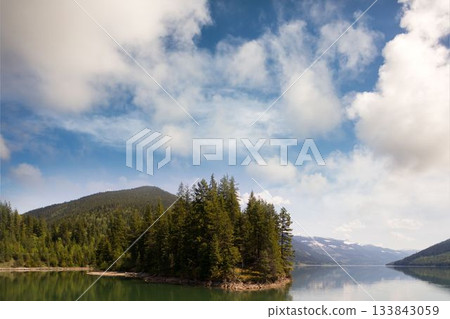Trees growing by lake and mountains against sky Trees growing by lake and mountains against sky 133843059