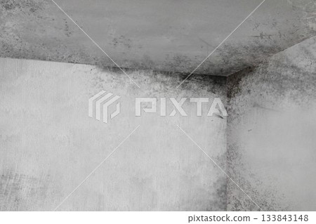 Mold growth patches are appearing on flat design corner walls and ceiling, showing moisture damage Mold growth patches are appearing on flat design corner walls and ceiling, showing moisture damage 133843148