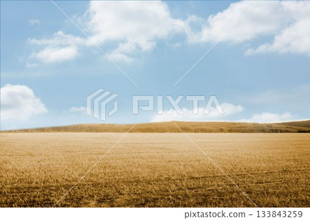 Harvested field is stretching toward rolling hills under bright sky in flat design Harvested field is stretching toward rolling hills under bright sky in flat design 133843259