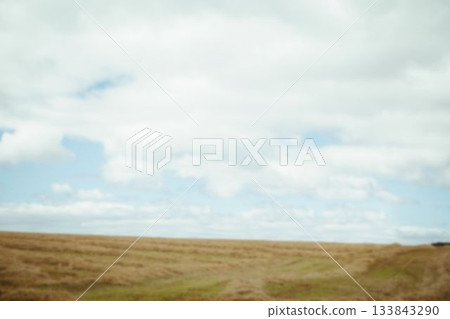 Scenic view of field against cloudy sky 133843290