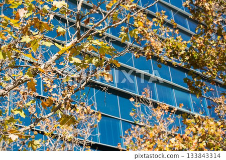 Low angle view of building Low angle view of building 133843314