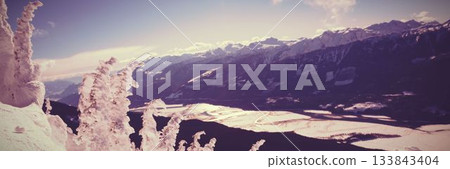 Snowcapped and forest during winter 133843404