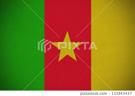 Cameroon national flag is showing on textured fabric with green red yellow stripes and yellow star Cameroon national flag is showing on textured fabric with green red yellow stripes and yellow star 133843437
