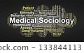 Medical Sociology Word Cloud. Core Terms on Social Factors Shaping Health Outcomes 133844113