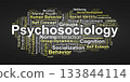 Psychosociology Word Cloud. Key Concepts on Mind, Society, and Human Behavior 133844114