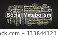 Social Metabolism Word Cloud. Core Terms on Resource Flows and Environmental Impacts 133844121