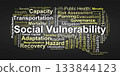 Social Vulnerability Word Cloud. Key Concepts on Risk, Exposure, Capacity, and Resilience 133844123